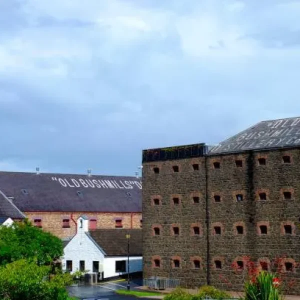 The Bushmills Distillery Experience